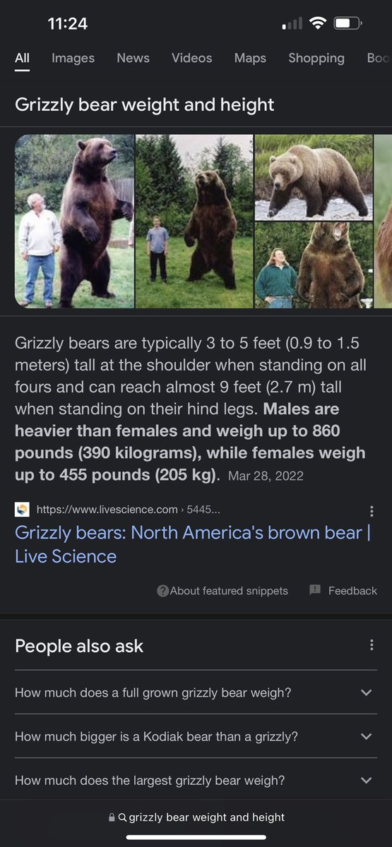 RonSquash's tweet photo. @KFlaherty247 @howe_u_doin Nah polar bear is way out of both of their weight classes https://t.co/UluAtixpKi