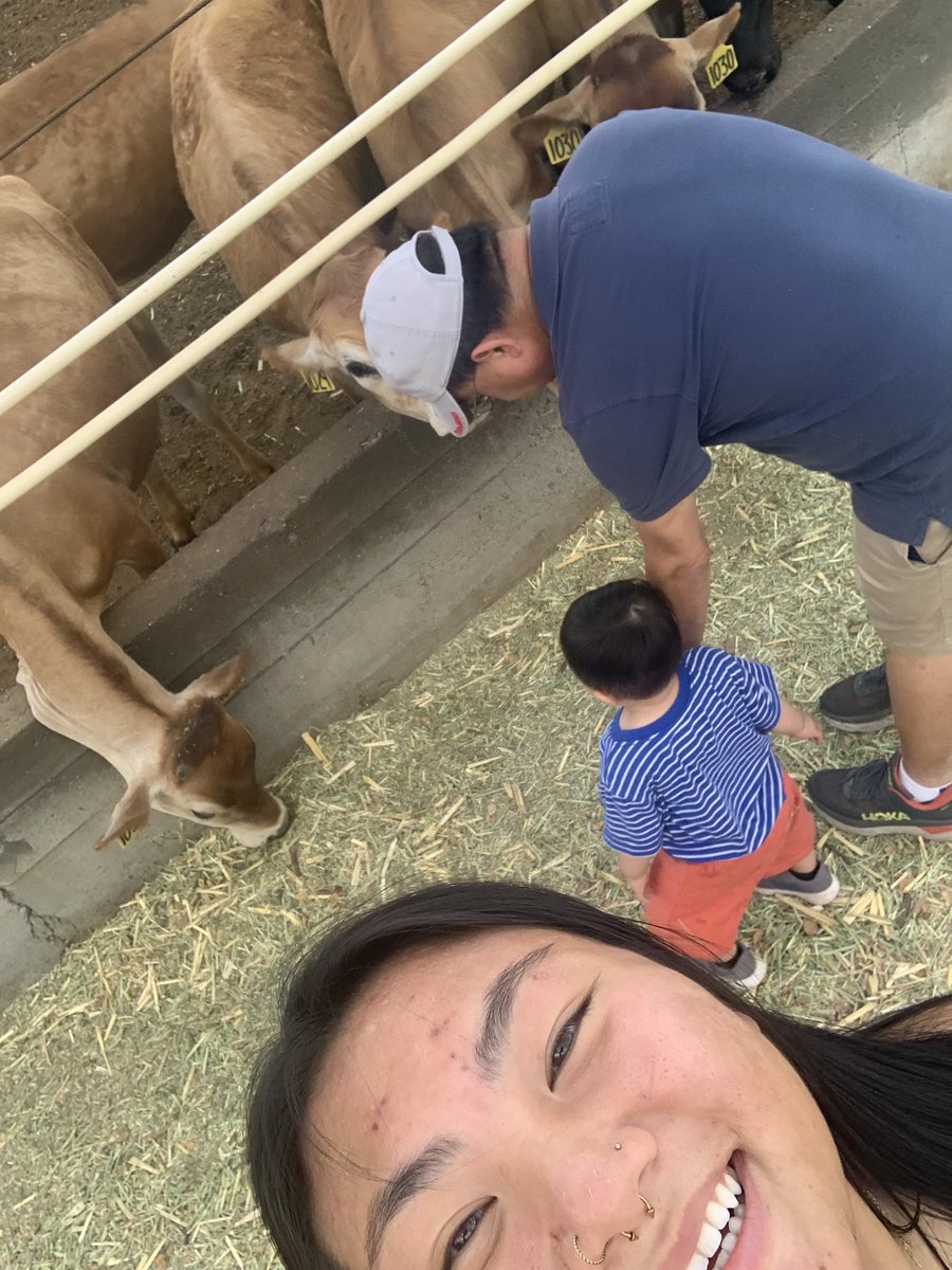 iveyduong's tweet photo. cows + isaac <3 https://t.co/4PpMS8a735