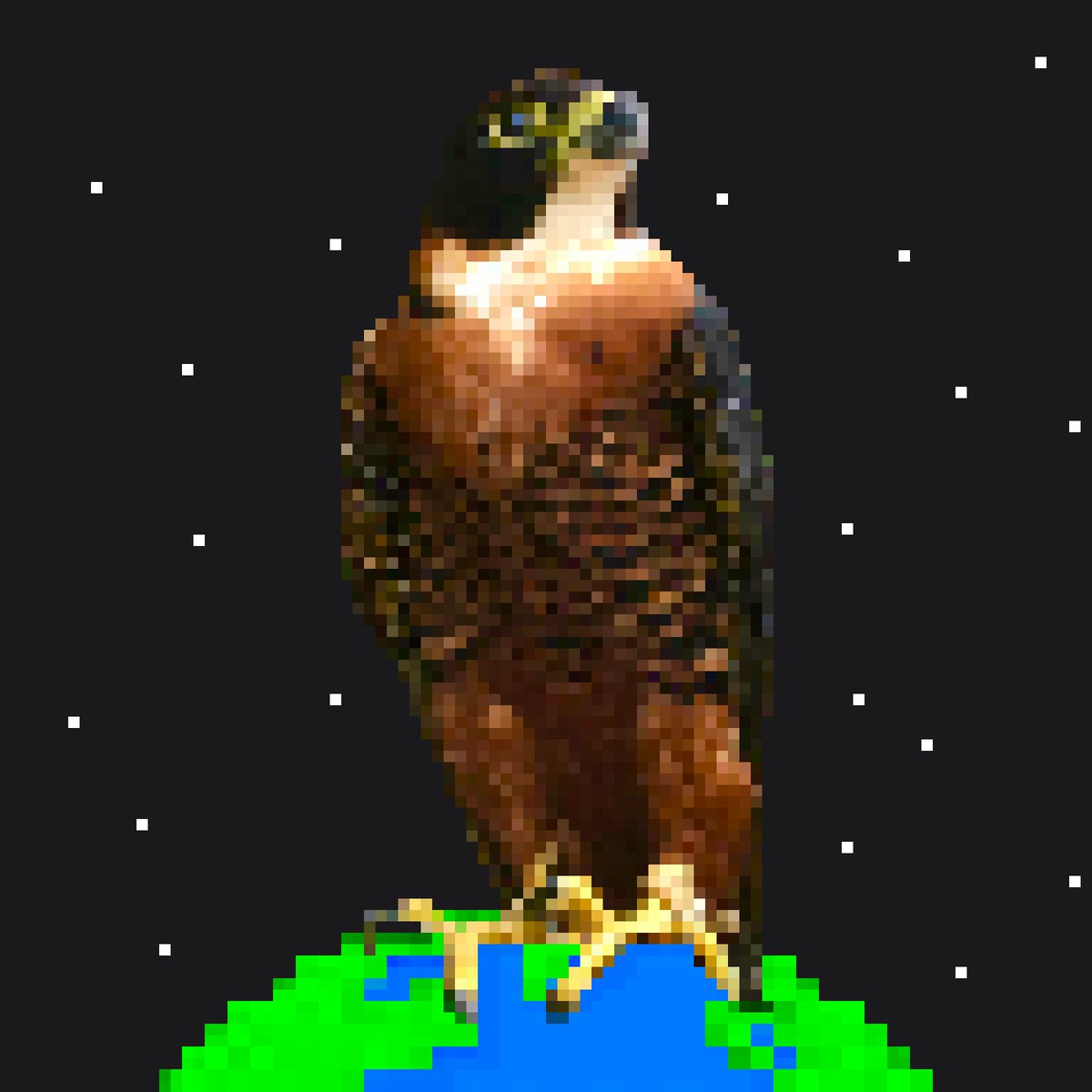 EarthBirds1's tweet photo. https://t.co/FlnqdHeH9B https://t.co/ROzkLgi4e1