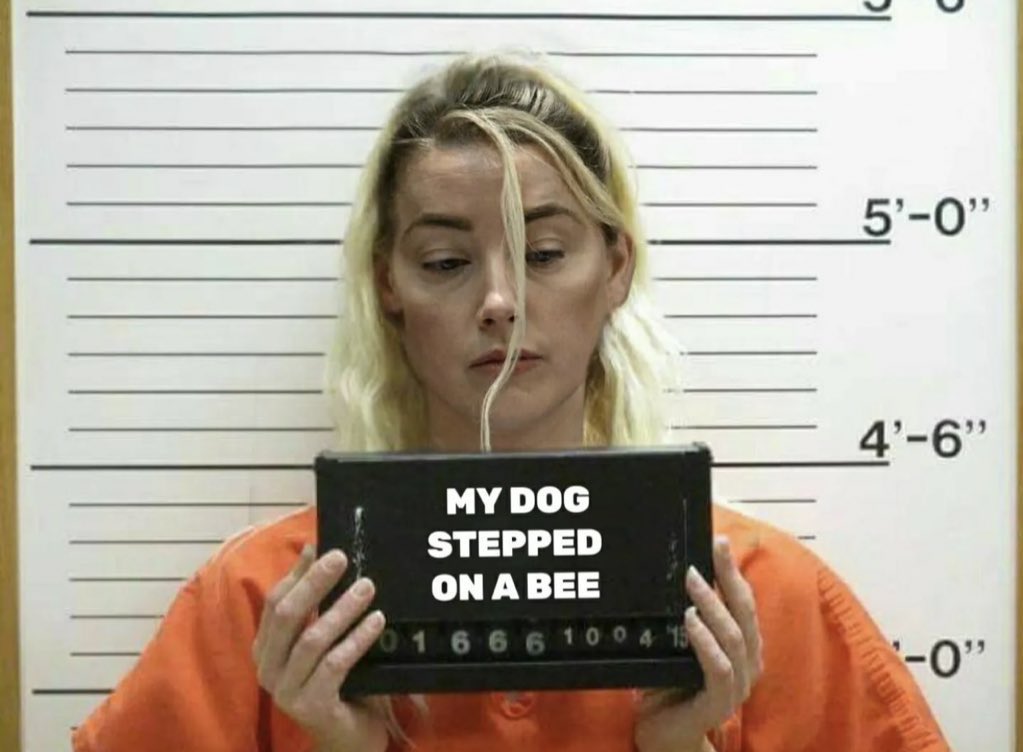 Leylaaarr's tweet photo. Whoever made this, may you have clear skin &amp; both sides of your pillow be cold 💜 #AmberHeardDeservesPrison #AmberHeardlsApsychopath #AmberHeardlsAnAbuser https://t.co/UVzFdEiT2S