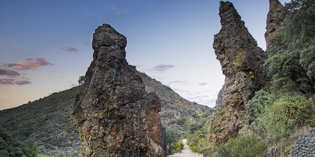 SpainSEA's tweet photo. #Cabañeros National Park is one of the best examples of Mediterranean ecosystem 🌳 

From the bellows of the deer, to majestic flight of the golden eagle, the park is full of natural wonders ☺️

👉 https://t.co/p7q7dBh0TD

#YouDeserveSpain #VisitSpain #SpainNature @TurismoCLM https://t.co/LbUqG2a7nU