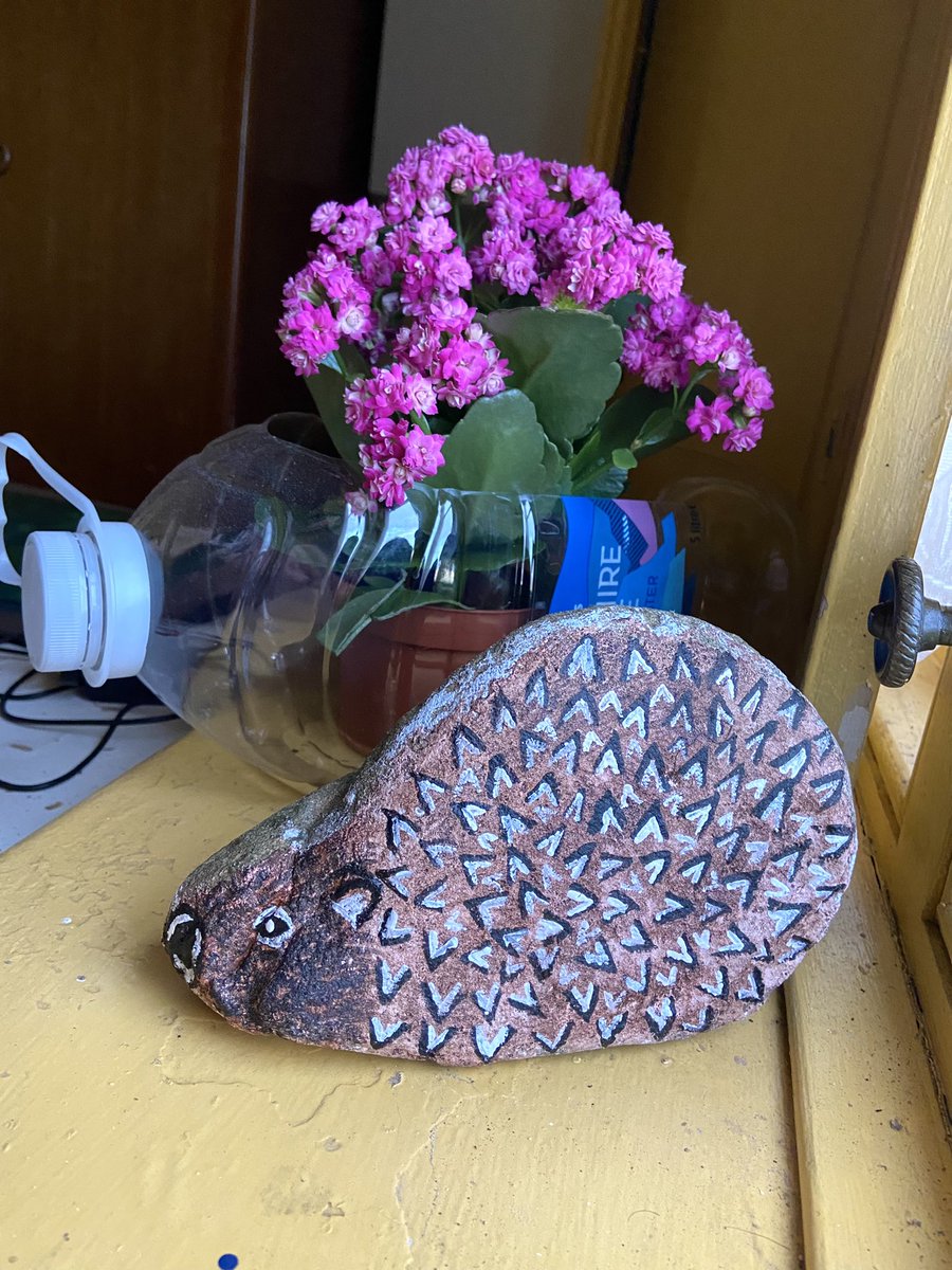 botanyhan's tweet photo. The things you can achieve on nightshift 😅🦔 https://t.co/aBHT8RWrwE