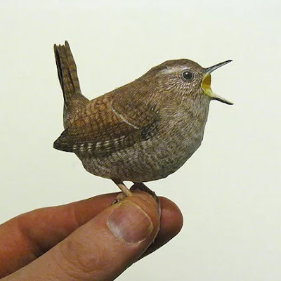 Realistic #papercraft wren - tektonten.blogspot.com/2022/06/wren-p…