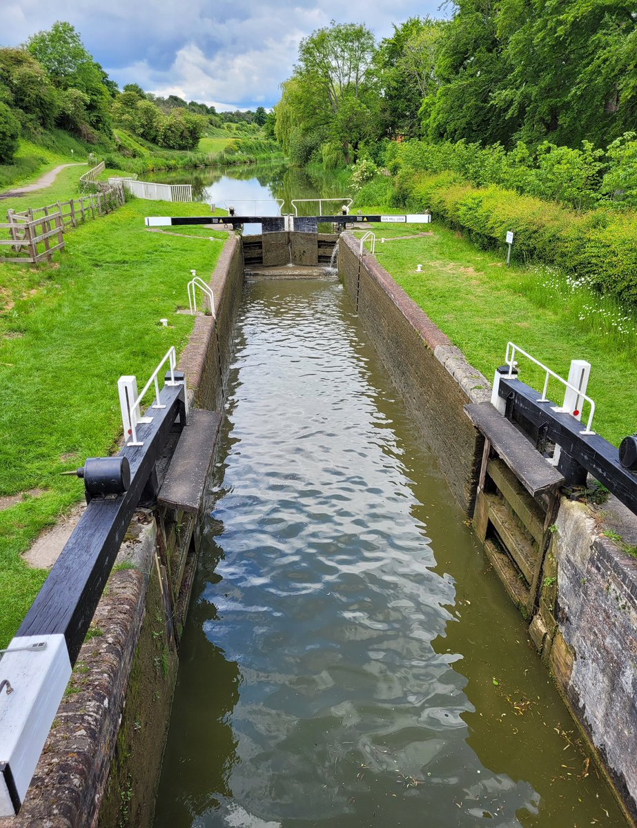 The Rose of Hungerford tweet media