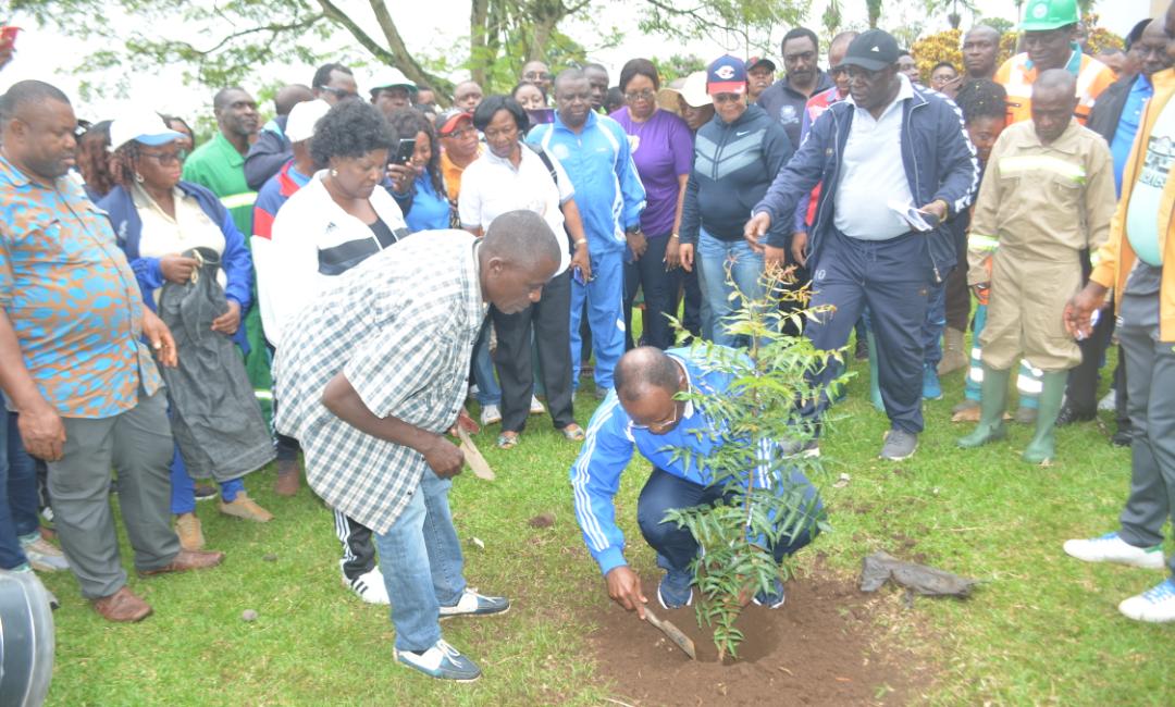 UBuea's tweet photo. Greening of UB.  Vice-Chancellor leading the planting of 2,500 trees on campus. https://t.co/KIm4vWrruX
