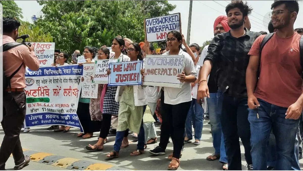 Day-6 of protest for #IncreaseInternshipAllowance from 6200/- to 17000/- per month
#Gadvasustudentsonstrike
#gadvasuvetunion 
#IncreasePgFellowship
<a href="/BhagwantMann/">Bhagwant Mann</a> <a href="/kdhaliwalaap/">Kuldip S Dhaliwal</a> <a href="/HarpalCheemaMLA/">Adv Harpal Singh Cheema</a> <a href="/PMOIndia/">PMO India</a> <a href="/narendramodi/">Narendra Modi</a> @Murugan_MoS <a href="/CMOPb/">Lucky Singh</a> <a href="/AmitShah/">Amit Shah</a> <a href="/bbcnewspunjabi/">BBC News Punjabi</a> <a href="/PrimeAsiaTV/">PrimeAsiaTV</a>