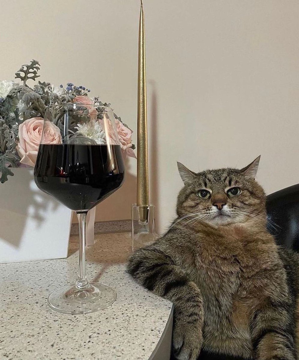 Happy Caturday by loveyoustepan