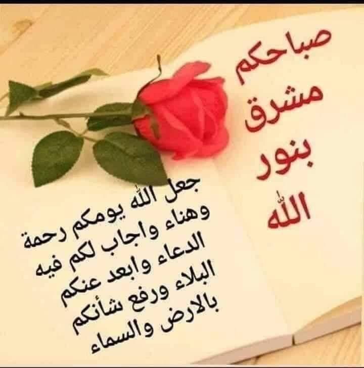 Abdul (@abdul73695938) on Twitter photo 