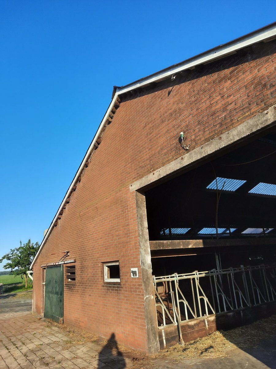 Duurt een tijd, maar intussen toch 28 nesten. Tenzij sommige zwaluwen een 2e woning hebben.