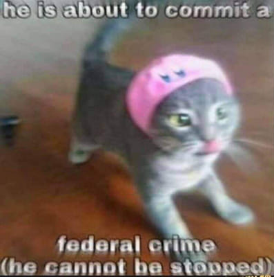 WholesomeMeme's tweet photo. https://t.co/YLJ4bfz71n