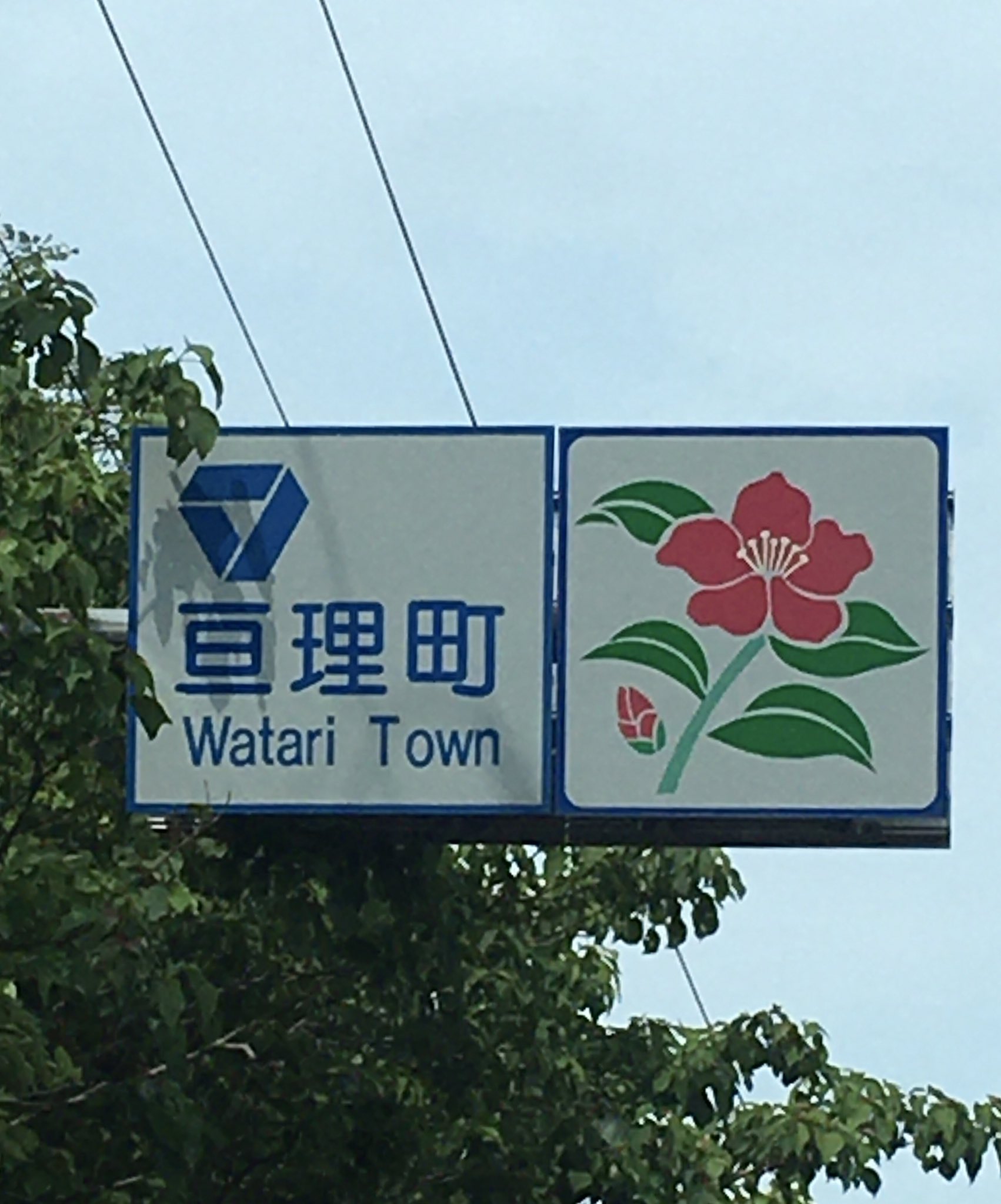 亘理花火 Twitter Search Twitter