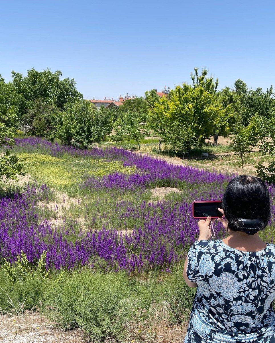 OzanSAYlN's tweet photo. 14 days 🇹🇷
2500 miles 🐫 
4 different microclimates 🌈 🌧🌞
53 toilet stops 🚽 
6 sites in UNESCO world heritage list 😲
5 sites in tentative list of UNESCO 😎
134.967 steps total 🏋️‍♂️
7 different hotels 🏨 
4 apprentices studying tourist guiding 
#friendlyplanet #azimtur #türkiye https://t.co/KcgLsqXZ2Y
