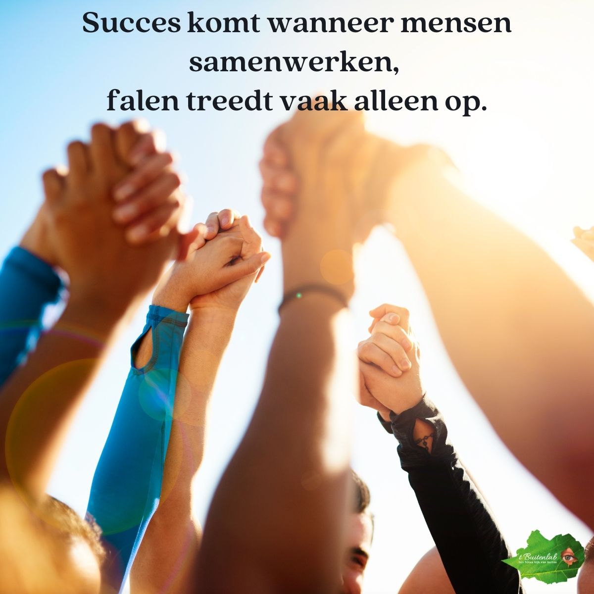 Liavanloo's tweet image. Succes komt wanneer mensen samenwerken, 
falen treedt vaak alleen op - Deepak Chopra

#succes #samenwerken #alleen #falen #werk #quote #spreuk