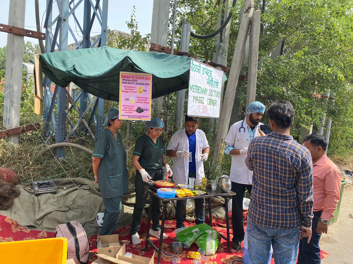 GovindP65958823's tweet photo. Veterinary students from Bihar and Punjab are protesting for increment in their internship allowance since 5 days. No helpful action has been taken by govt yet. Sir

@BhagwantMann &amp; @Nitish Kumar look at this matter

#IncreaseInternshipAllowance #IncreasePgFellowship https://t.co/qeMec0LZU3