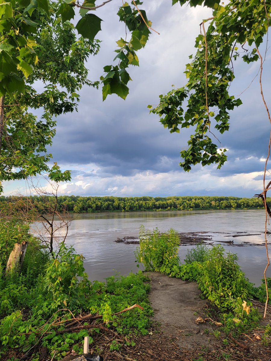 CarrieTergin's tweet photo. After the rain #AdriansIsland was crazy beautiful! #BicentennialBridge #JCMO #VisitJCMO https://t.co/49ZqtTKx4r