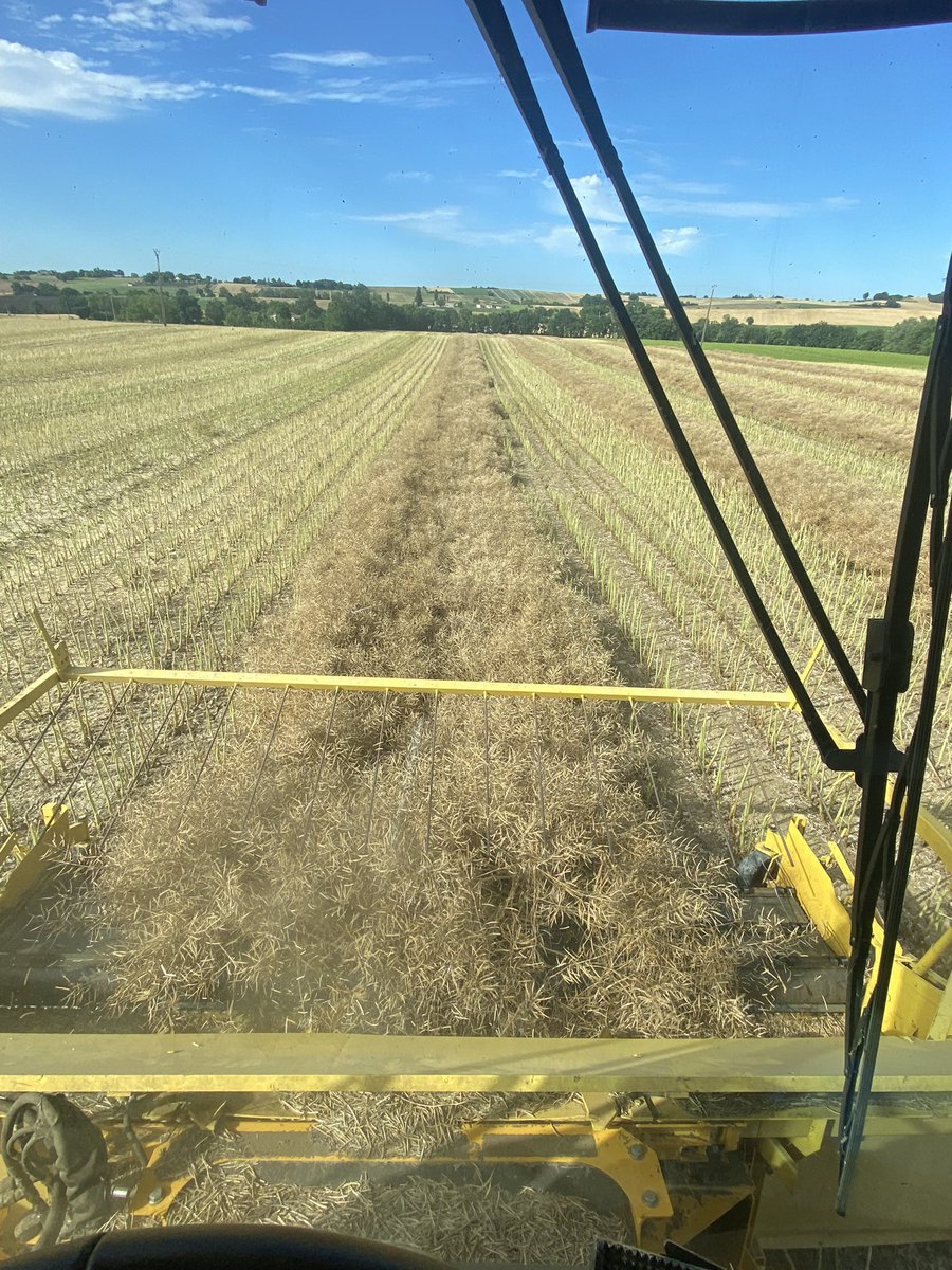 damF032's tweet image. Aussitôt récolter, aussitôt semer!     🚜💨. #colzasemence #tournesol 🌻