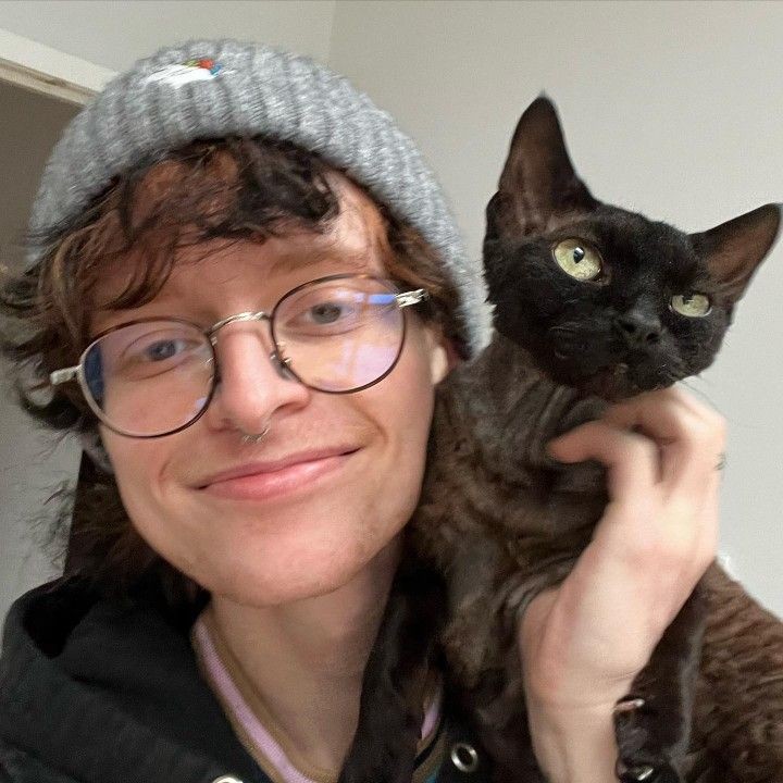 daily cavetown 💐 on Twitter "https//t.co/l3KPDYIhDL" / Twitter