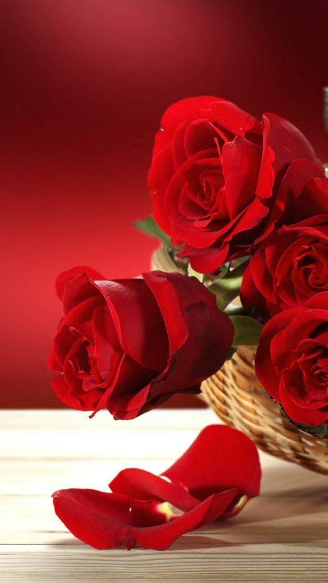 Alaayous3's tweet photo. #loyal #AMY🅰️
@Alaayous3
@refija7
@Esf__1
@Eles26
@fbbywijaya
@fbbywijaya
@scouse_kim
@Rocky8848
@SaVenus1
@RealKinzaKhan
@ch10nb
@LornaRuckel
@pwrhld44
@MagicaActitud
@drsurendrpathak
@AGMRedMylene
@Linyuling99999
@MistressTepco
@TheEndOfJAPAN1
@Jemaco40
@SajidAm17868937 https://t.co/ePNlGvzTaH