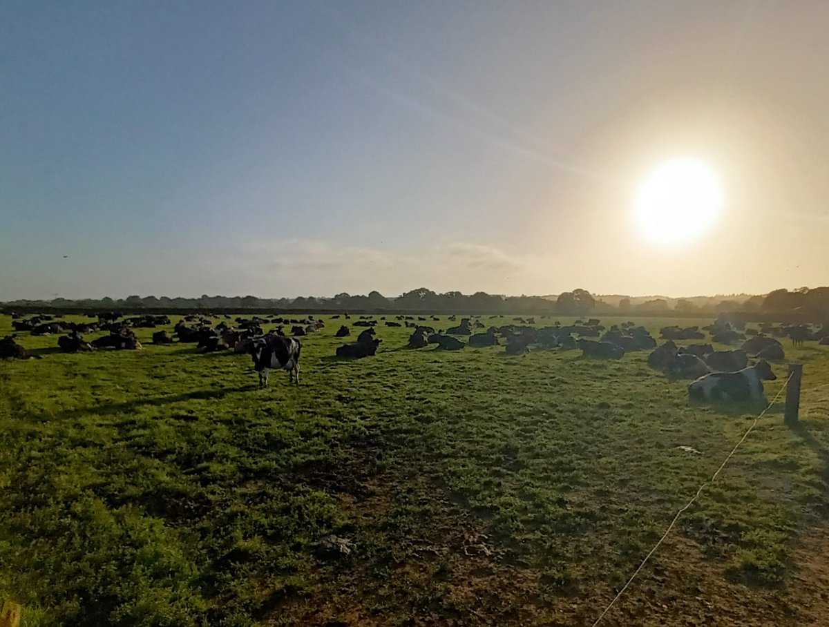 Well these girls don't look like they'll be in a hurry this morning! Some day for it