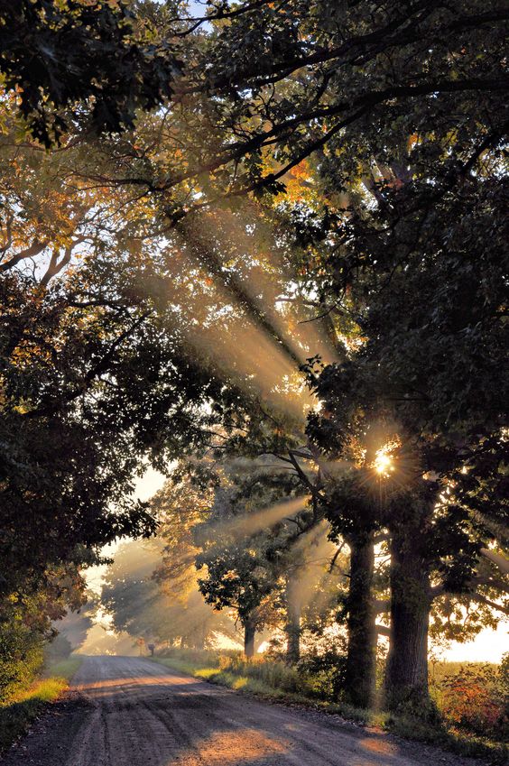 Have a good morning !
#morning #sunrise