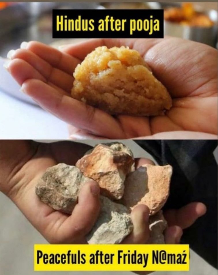 17ravindersingh's tweet image. Whole world is in pain becoz of theses zahils