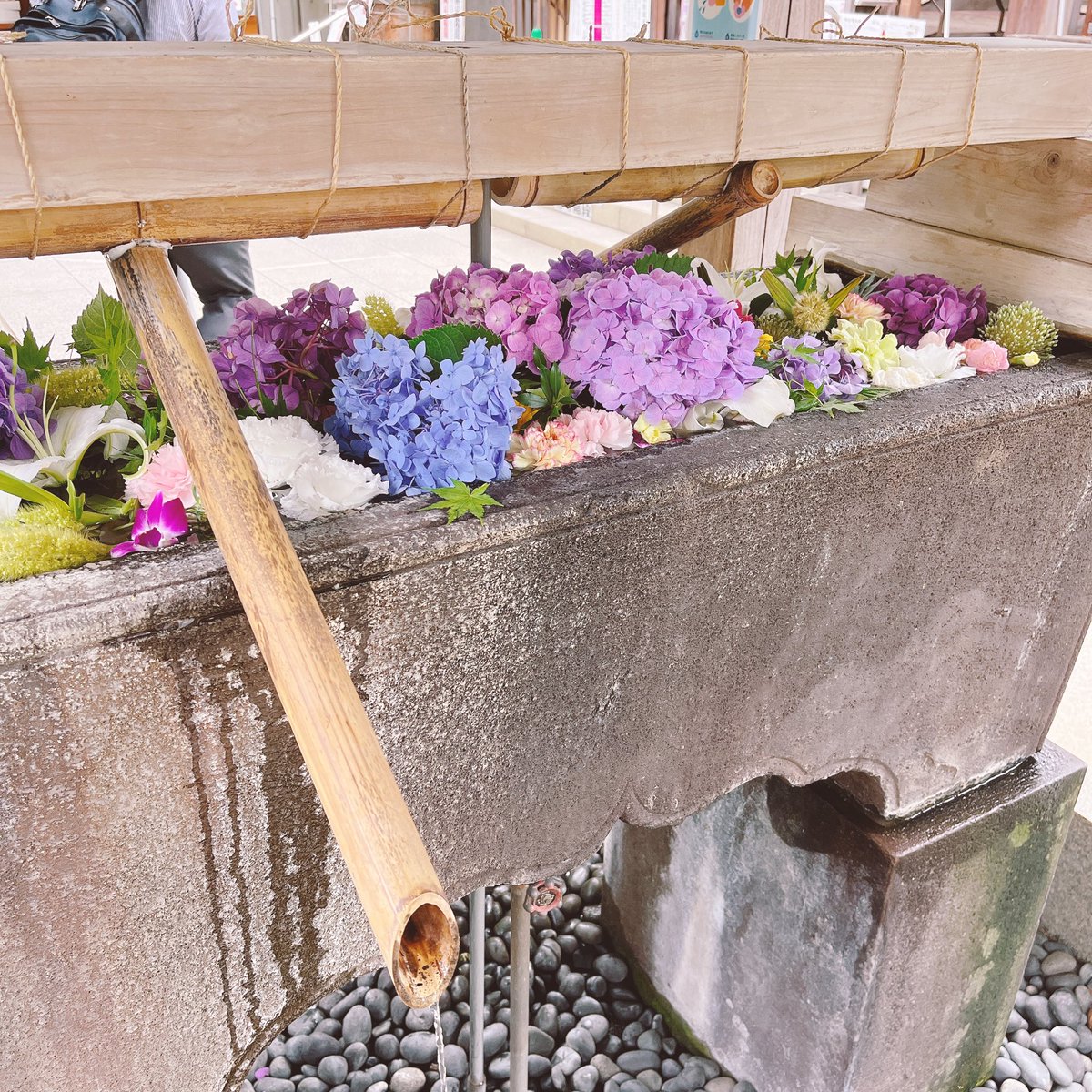 ウォーキング途中の神社⛩の花手水が綺麗だった!せっかくだからお参りしておみくじ引いたら大吉✨
ちなみダイエットはじめて約3週間で2.5kg落としたからマジで褒めて欲しい 