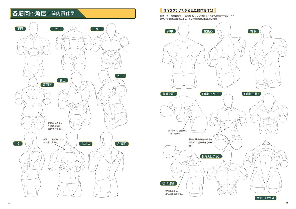 【お知らせ】
玄光社様の『強い筋肉の描き方』にイラストレーターとして一部寄稿させて頂きました!強くてかっこいい筋肉いっぱいの素敵な一冊です!ぜひよろしくお願いいたします💪✨
発売日:7/4 amazonにて予約受付中
https://t.co/pnUC9sTRFb 