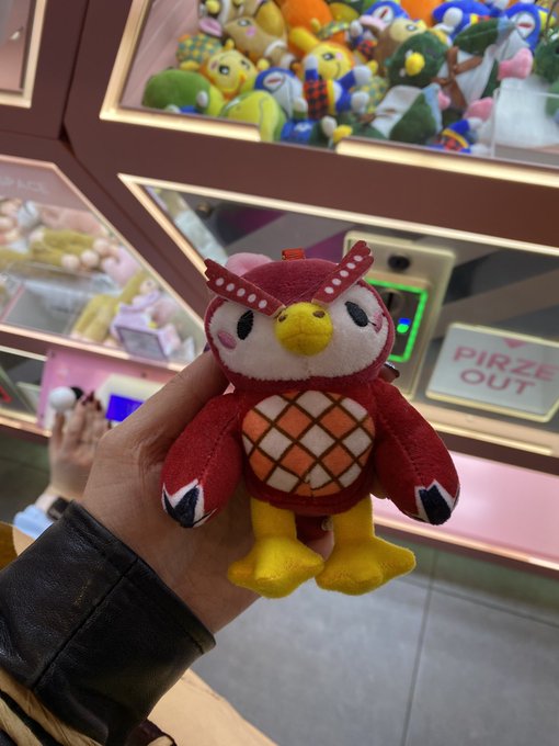 The claw&hellip; it chooses 🥰 https://t.co/PjZaSEEB4j