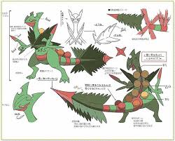 drachengott0815's tweet photo. @Max_Kailer #Platin Rayquaza und Mega Gewaldro https://t.co/Ya0gKQmadE