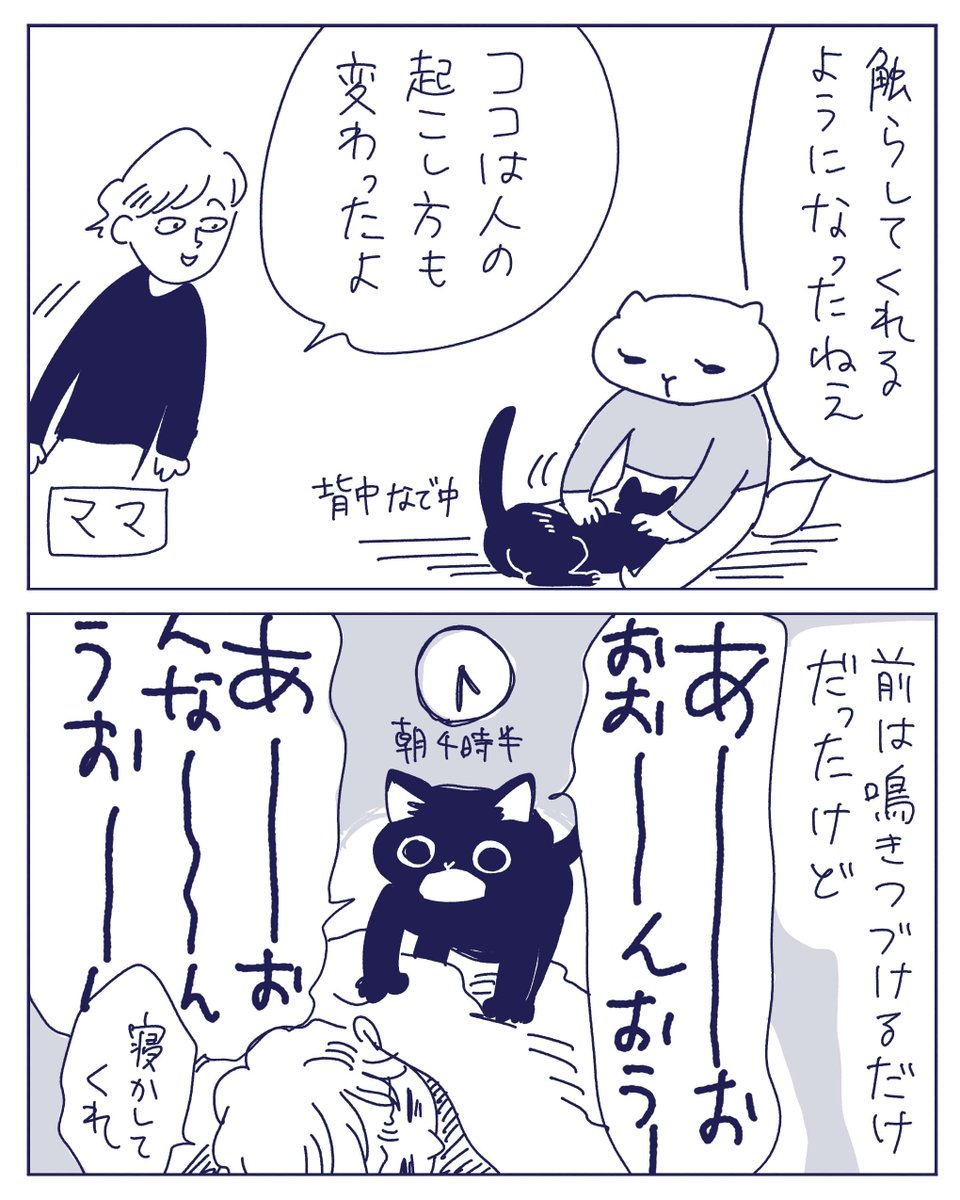 猫マンガ新作UPしました🐱☀️

大人になって丸くなった猫 - ヤチナツマンガ https://t.co/tHxVePrjd9 