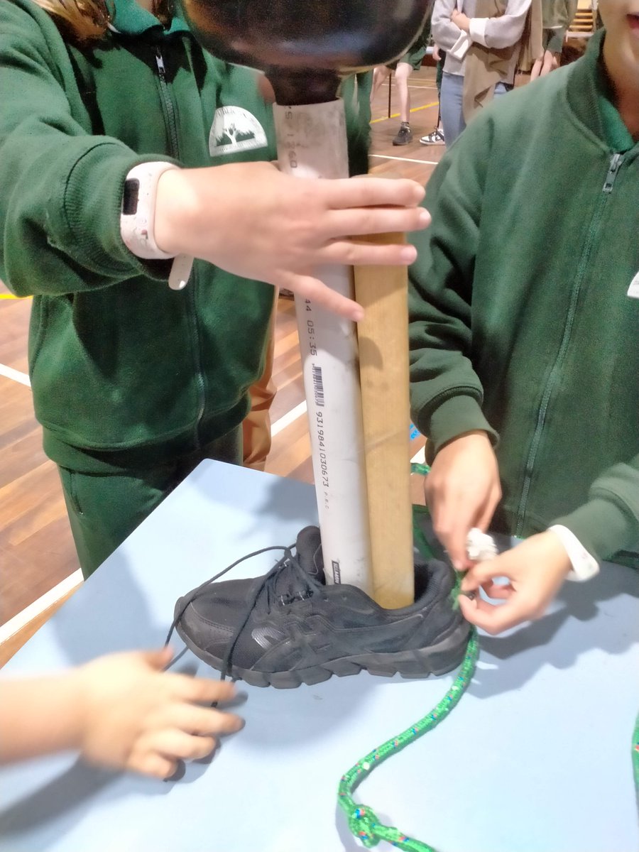 Wilkins Primary School STEM tweet media