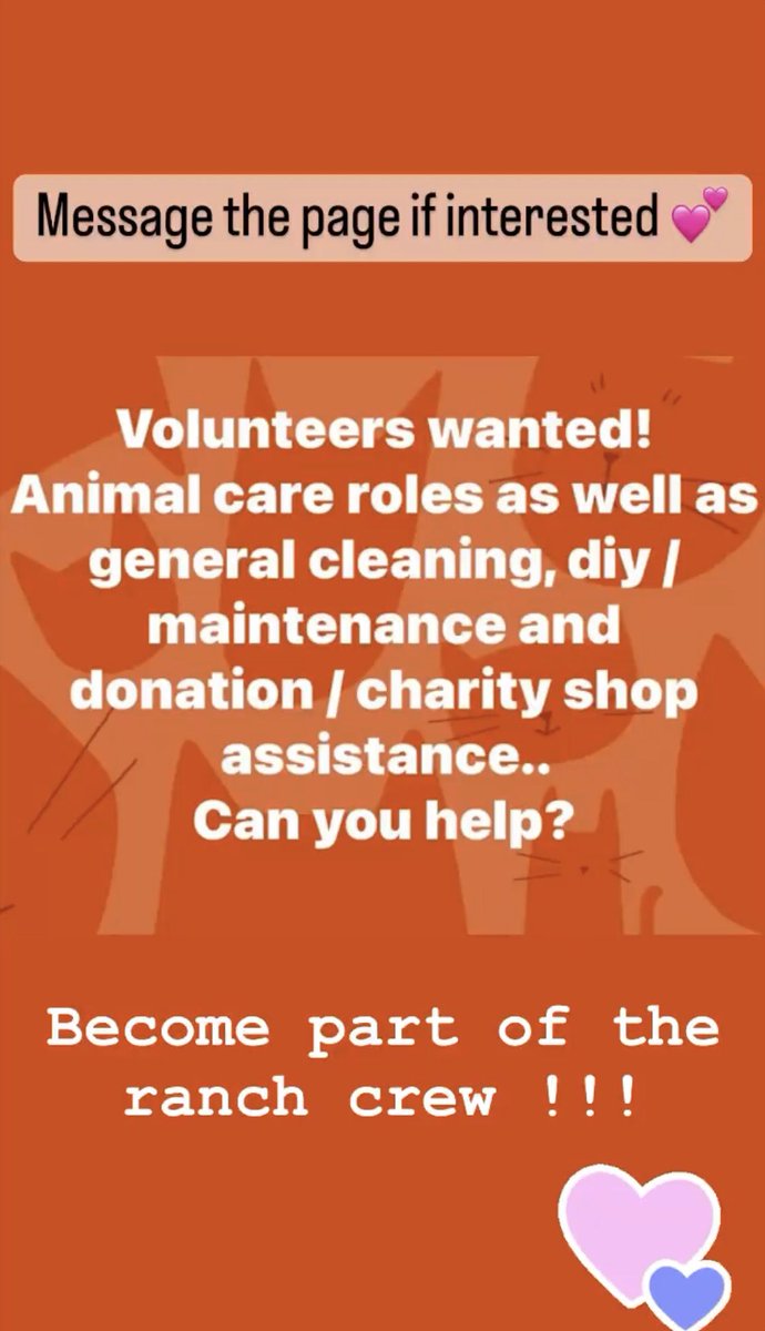 Message us on facebook if your Interested!🐮💛