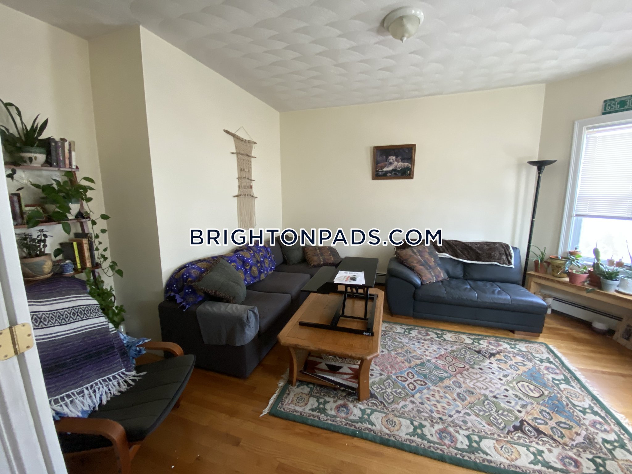 Craigslist Apartments For Rent In Boston Massachusetts - 5d1rrdv