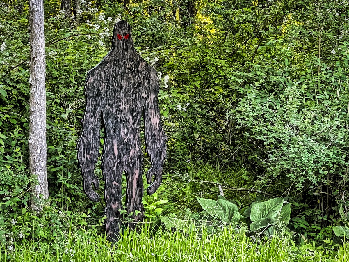 FishHardDave's tweet photo. Ran into this fellow yesterday, wasn’t very talkative, apparently he just liked to watch us fish! 😂😂😂#BigFootLives #StrongSilentType https://t.co/hC63wlDzpG