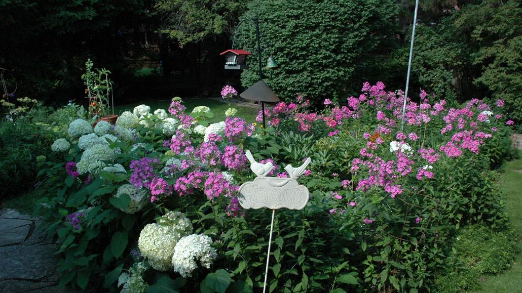 Leaside Life tweet media