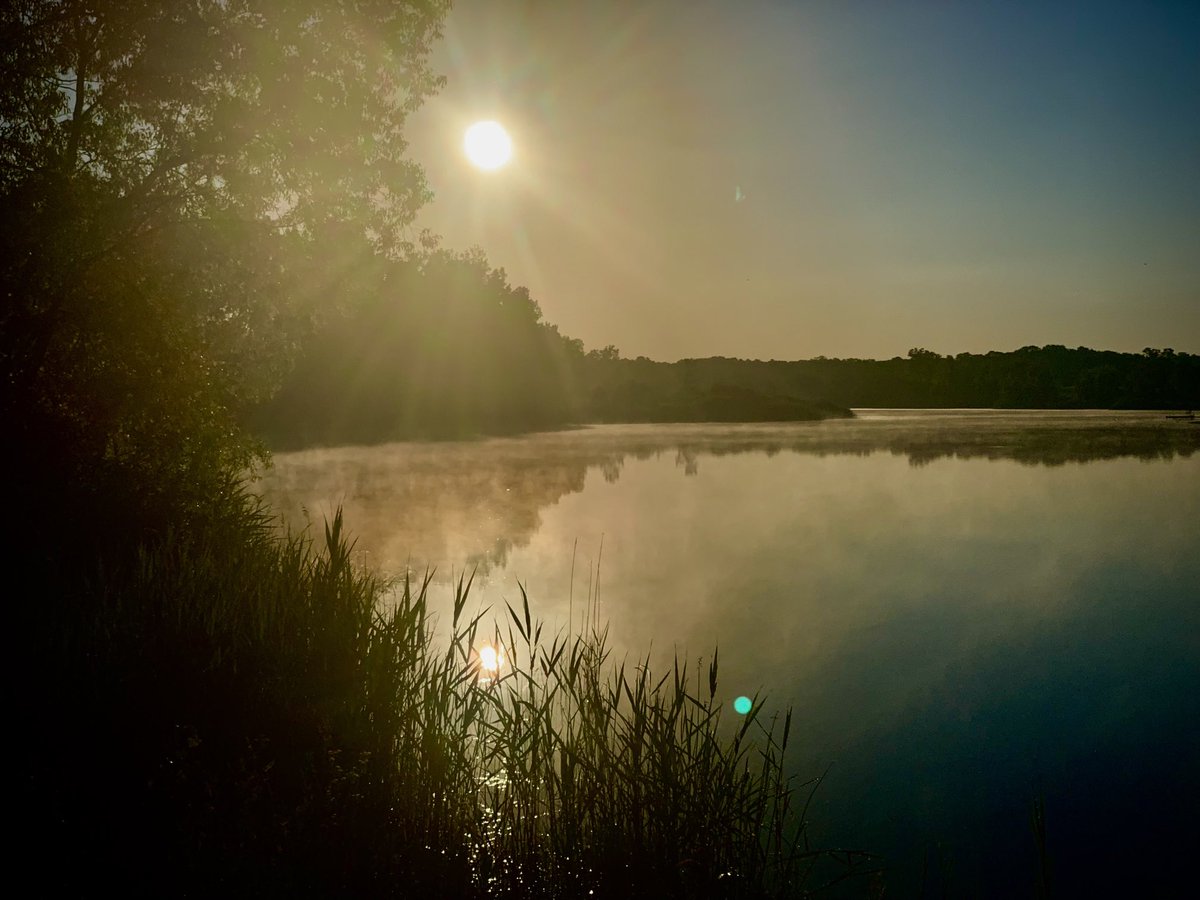 Good morning, from Michigan!
