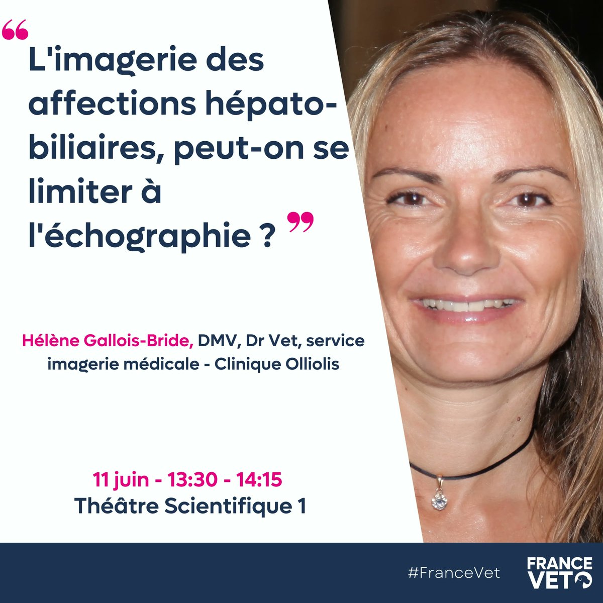 France Vet - Congrès des Vétérinaires tweet media