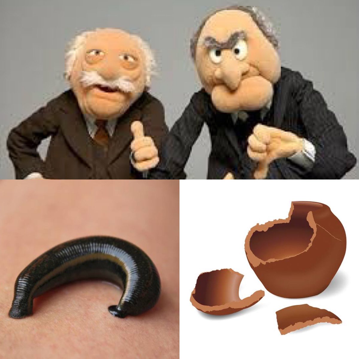 PinkCricketBall tweet media