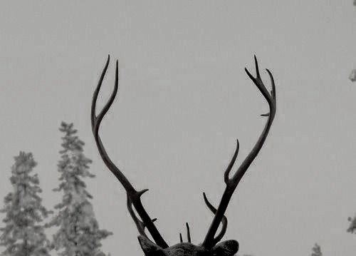 ㅤㅤ
𝐖            𝐉𝐀𝐌𝐄𝐒 𝐏𝐎𝐓𝐓𝐄𝐑.
𝐀              
𝐍             𝟏𝟗𝟔𝟎 ── 𝟏𝟗𝟕𝟕.
𝐓              𝐒𝐞𝐱𝐭𝐨 𝐜𝐮𝐫𝐬𝐨
𝐄              Estudiante de
𝐃              𝒈𝒓𝒚𝒇𝒇𝒊𝒏𝒅𝒐𝒓.ᅠᅠ
ᅠᅠㅤㅤ
                ¿  retweet  &amp;  &amp;  fav  ?ㅤㅤㅤ
ᅠᅠ    ㅤㅤ