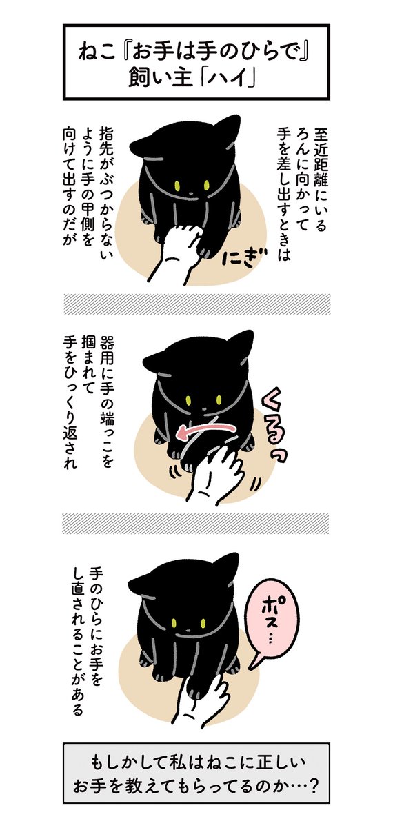 飼い主に「お手」を教えてくれている黒猫ろんさんの絵日記 #ろんの絵日記 https://t.co/Up2H9HJm9B 