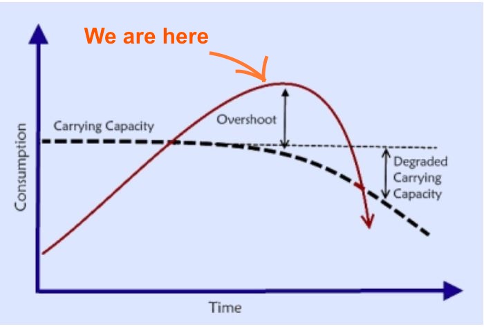 HowKeen's tweet photo. Modern industrial civilization has not escaped the laws of biology and physics. When a species gets too far into overshoot, there is only one outcome. If people label this "doomism", then I guess doomism = accepting constraints of biology/physics. https://t.co/86vjcyH2yG