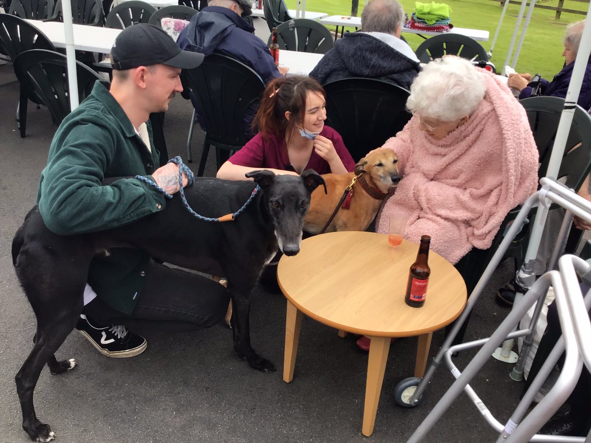 ThorntounCH's tweet photo. Everyone celebrating together 🤩 Helen loved seeing the dogs and they loved all the attention🐶❤️ https://t.co/4E17UvBcrF