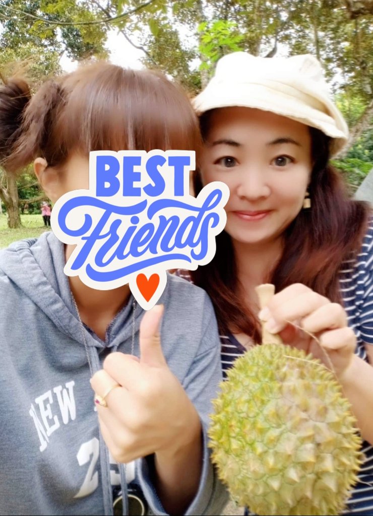 msialifejp's tweet photo. Visited durian farm 🚙 Mouth watering delicious durians🤤
農園主から招待され、ドリアン農園に行ってきました！KLから１時間。敷地を周りドリアン収獲。様々な種類のドリアンが食べられました😋　極上の美味しさ！実は薄い黄色からオレンジ色まで。去年は大豊作、今年は不作だそう😢 #マレーシア https://t.co/G88LHee8NM