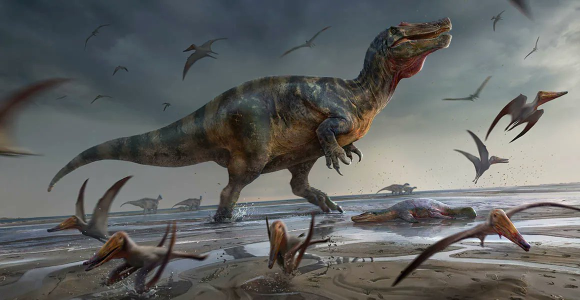 FEGTouristGuide's tweet image. The largest meat-eating dinosaur ever found in Europe once prowled the beaches of what is now the Isle of Wight.
The Isle of Wight is well known for its wealth of dinosaur fossils.
nhm.ac.uk/discover/news/…
#FEG_QualifiedTouristGuides #ReadyToGuide #Tourism #Nature #NaturalHistory