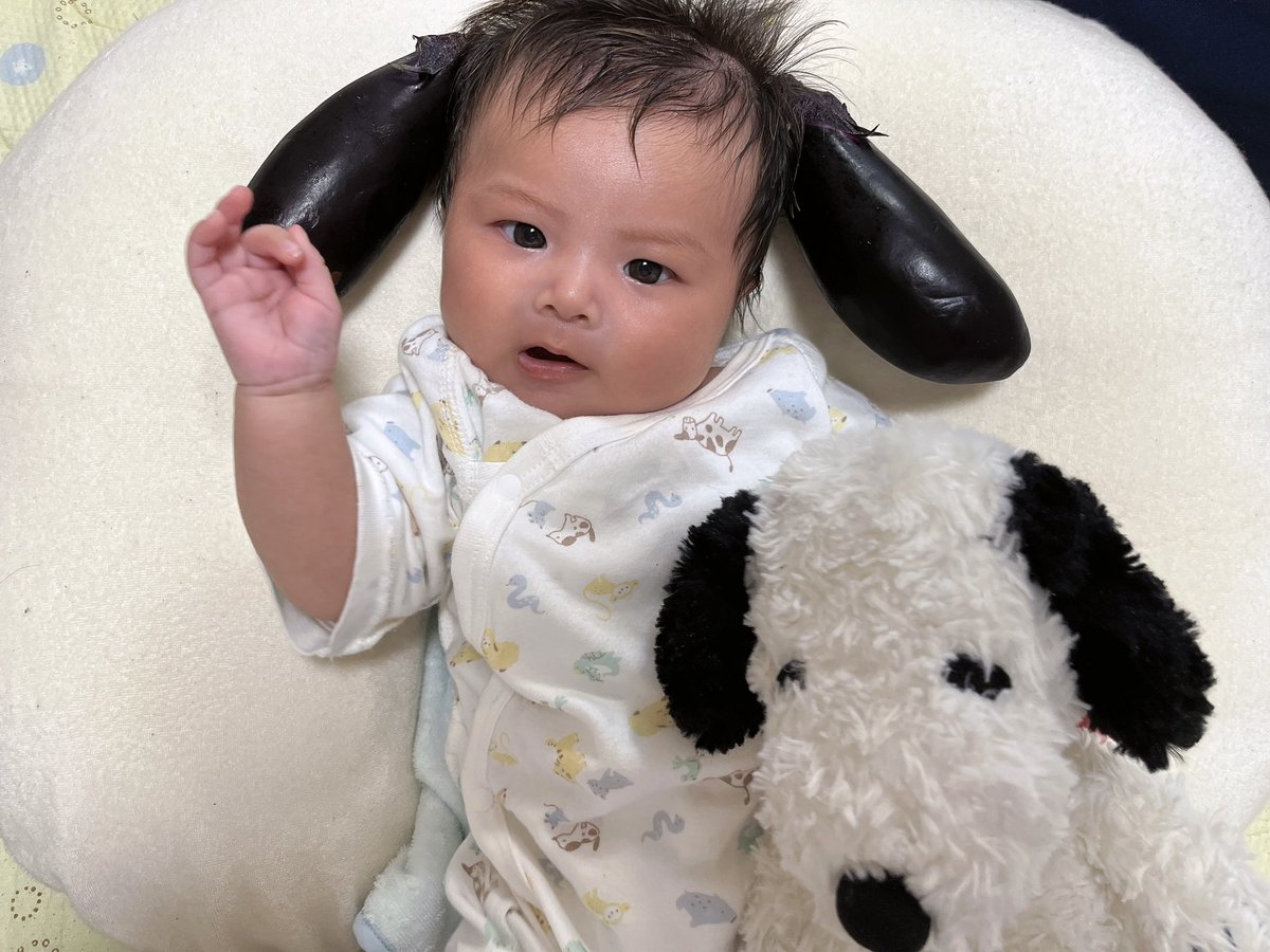 かすてらちゃん アカウント40w 2m Aina Minoru Twitter