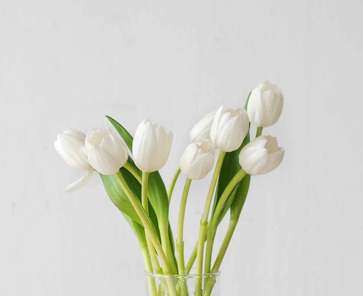 astaycafe's tweet photo. order: matcha cake + white tulips
for: @mcbopols
from: stray kids
💌message: happy motmot, loves! i just want y'all to know that you are loved, valid and appreciated! you guys are doing well and i'm so proud of each of you! hope i can catch up with y'all soon imy so much ㅜㅜ + https://t.co/TfjVXxDthT