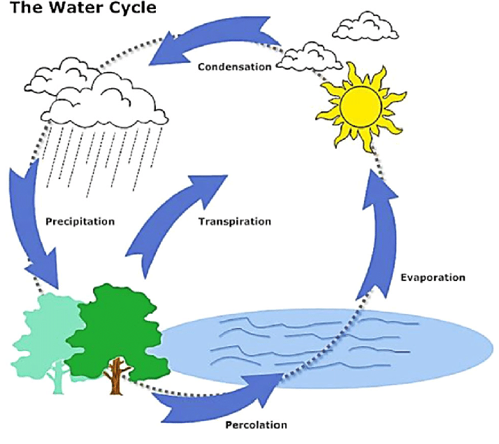 pritishsc's tweet photo. Rains... in Mumbai... makes me think... about the Water Cycle... so what came first ? The Rains or the Seas ? The Creator by creating so many Cycles ... has left so many questions unanswered !!! https://t.co/zsvCLIDyYc