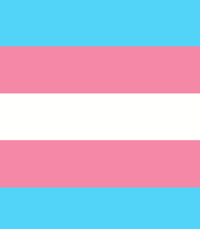 PrideHearts's tweet photo. Trans Flag but it's color-picked from Sora, Kingdom Hearts

#trans #sora #khsora #pridehearts #transgender https://t.co/FGyCXNQBuC