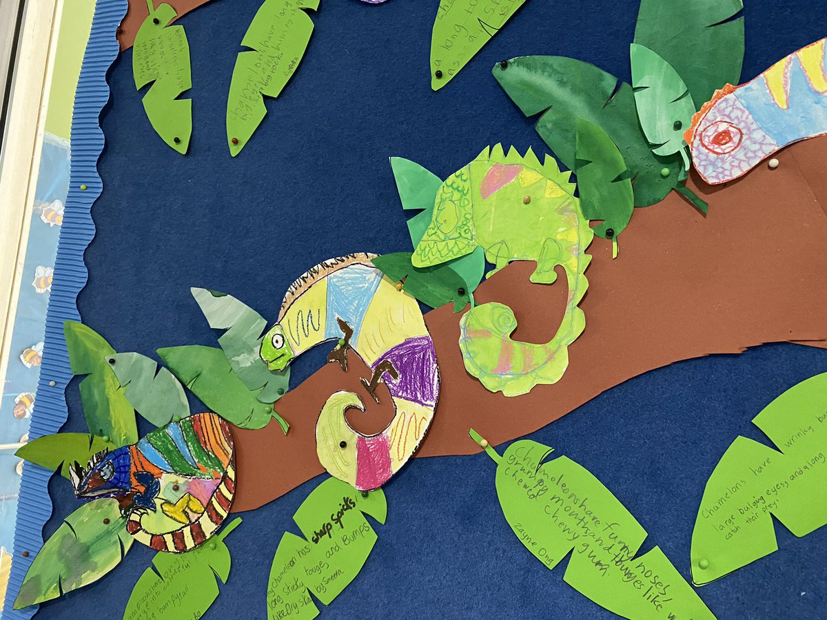 MsGabriellaKL's tweet photo. Chameleons are cool! Shared reading response brightening up our corridor today. We explored a resist effect with pastels and watercolours and described using interesting adjectives and expanded sentences. @HELPISKL #his_learning #deepspacesparkle https://t.co/cB34LLNzfc