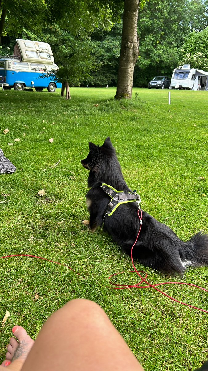 🤡🏃 NIKKI 🏃🤡 tweet media